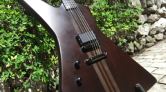 billy_snake_close2