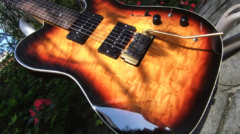 Guto Vighi Custom telecaster