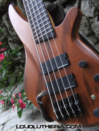 Custom made 5 strings bass